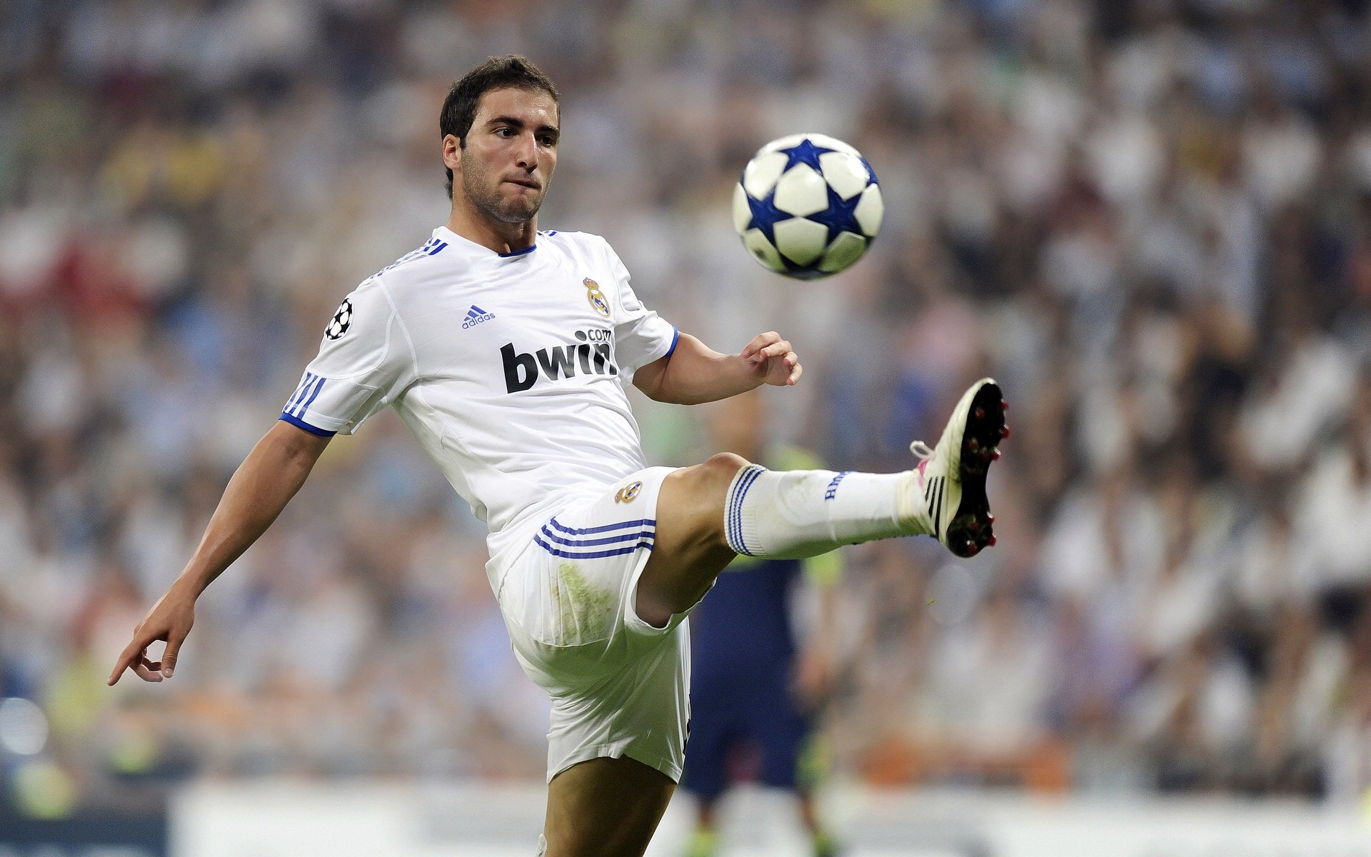 综合体育系传统项目争霸赛 武术、体操成最大看点